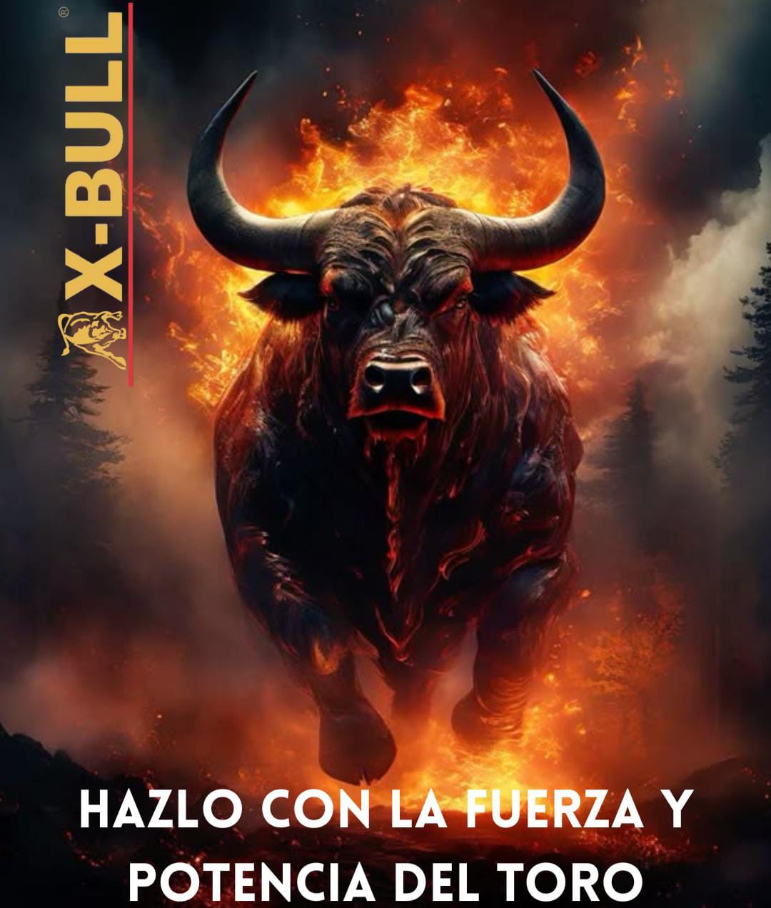 X-BULL Hombre