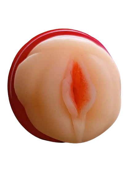 Vagina y Labios